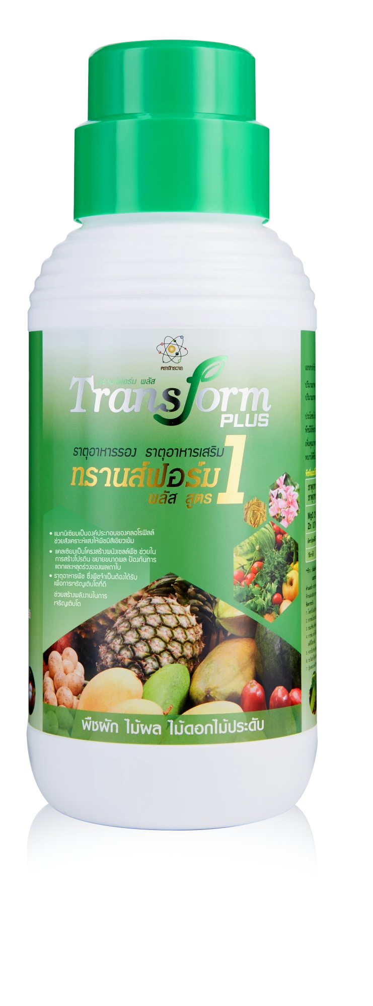 Transform Plus 1