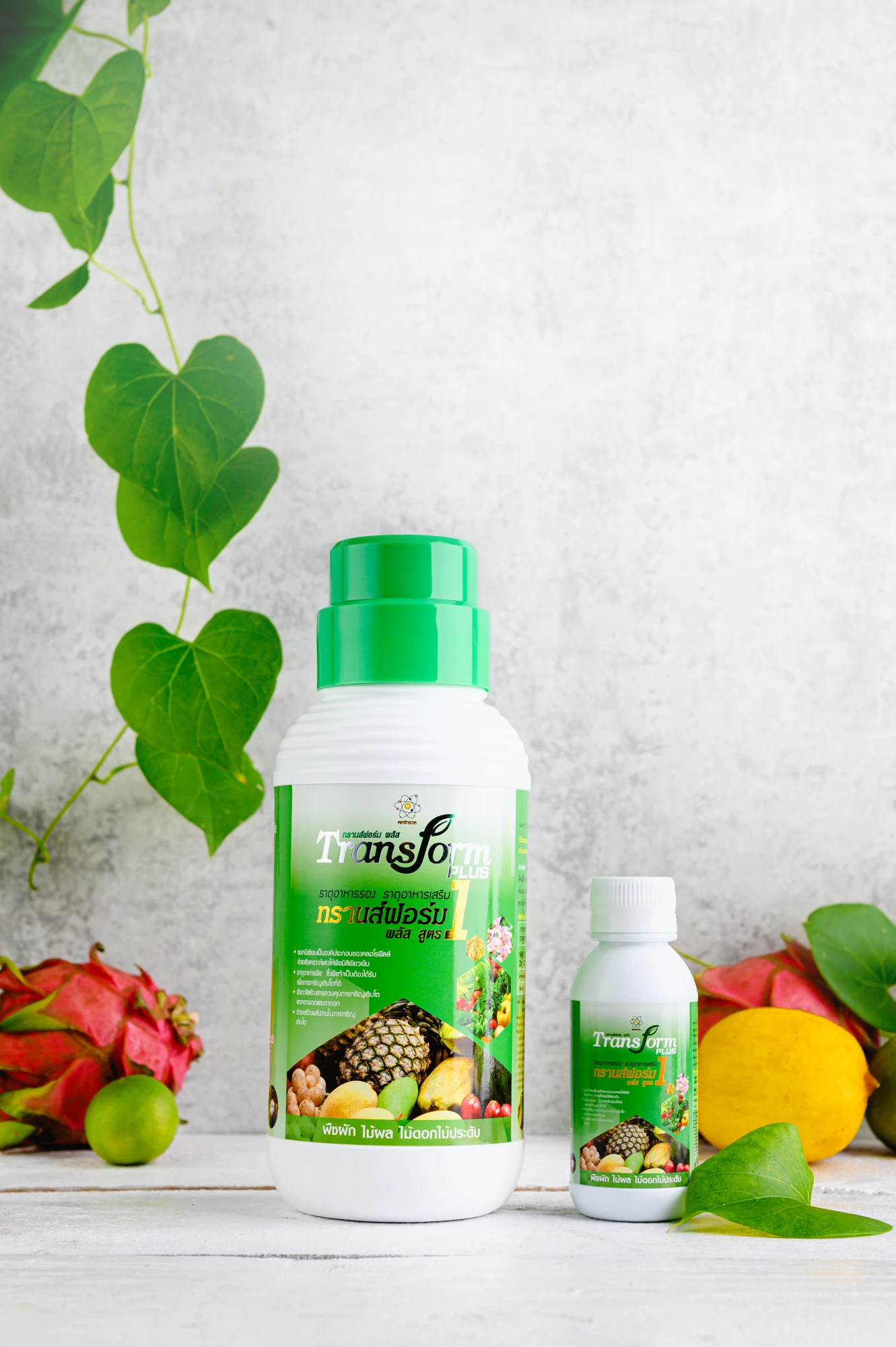 Transform Plus 1 - Image 2