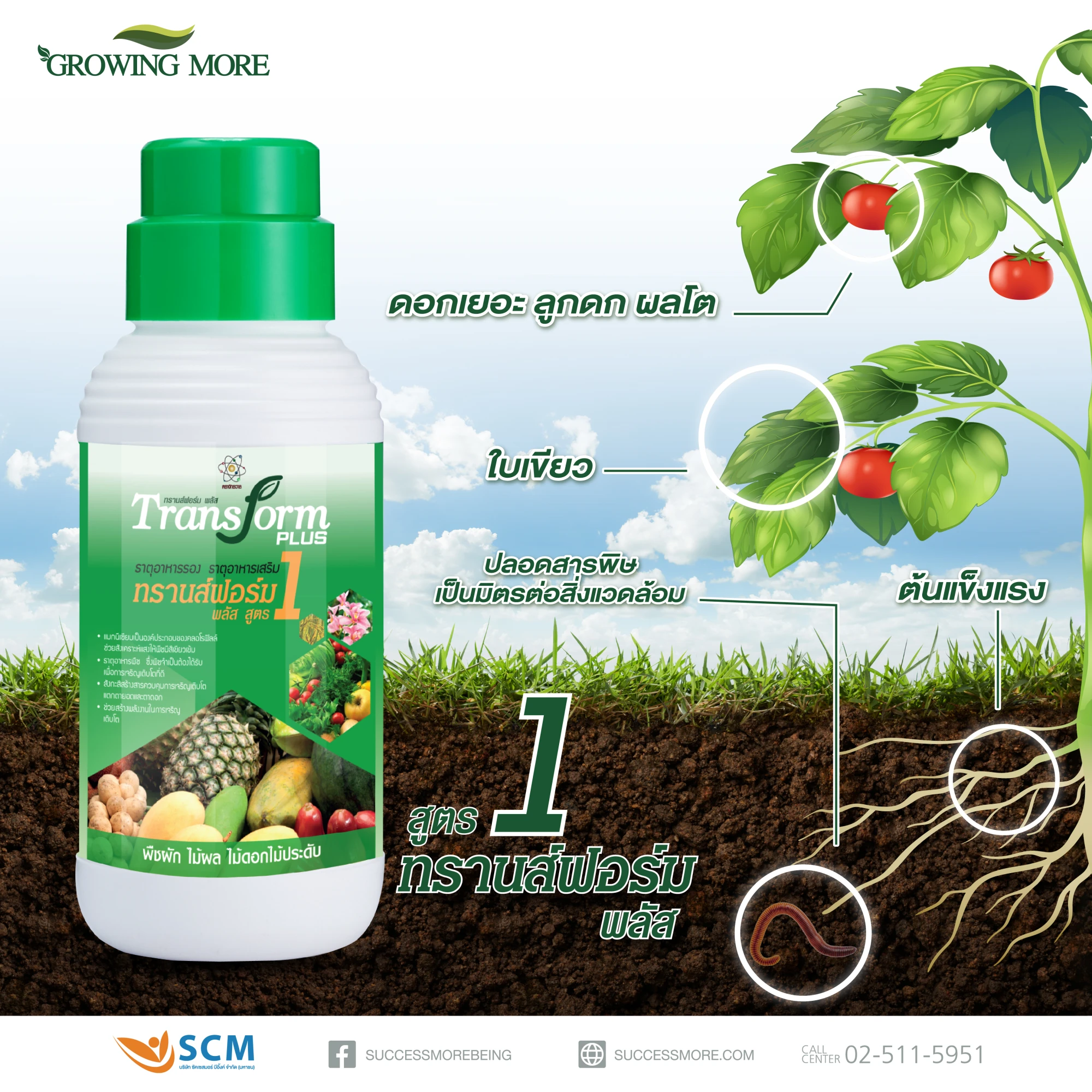 Transform Plus 1 - Image 3