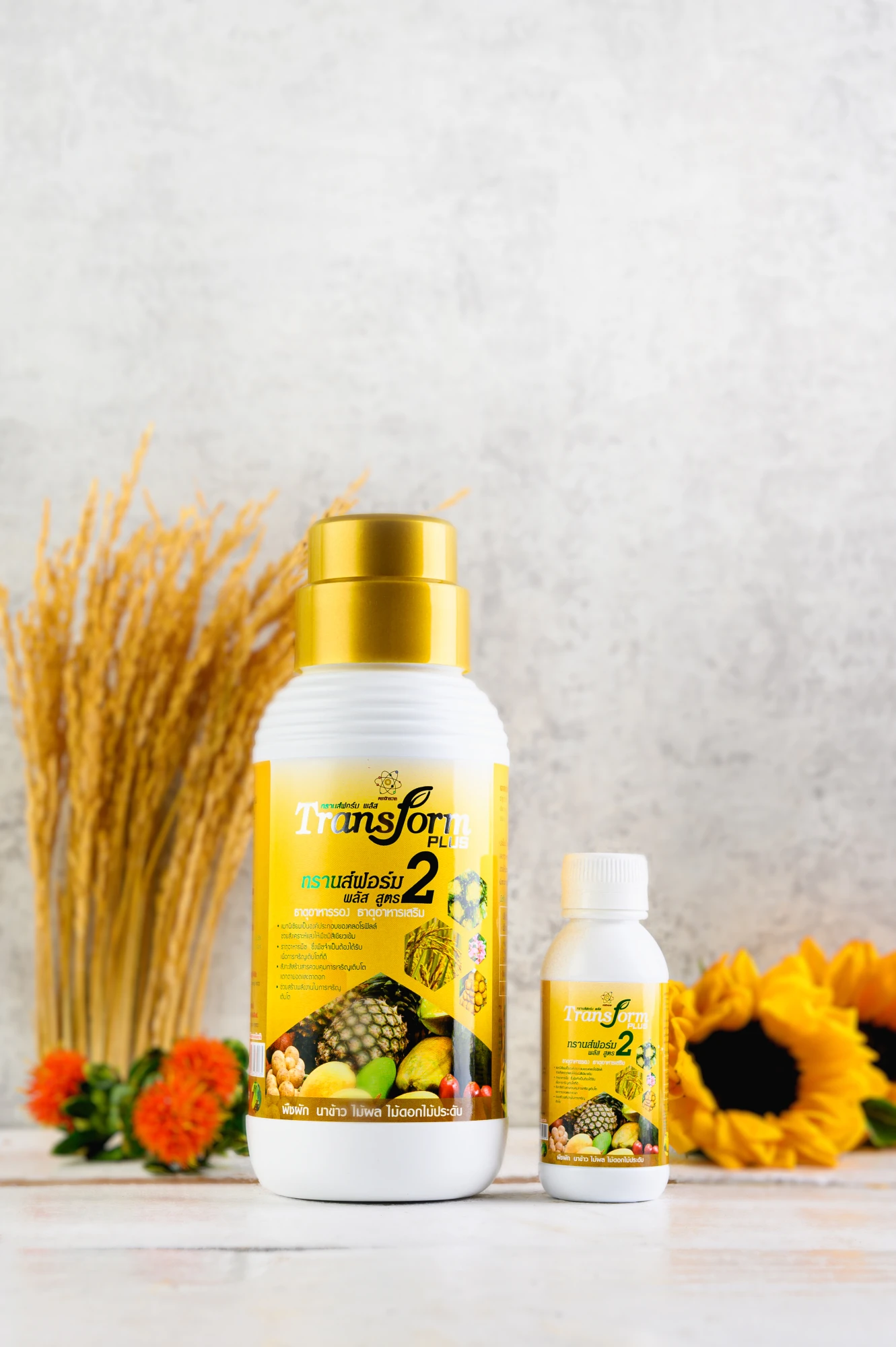 Transform Plus 2 - Image 2