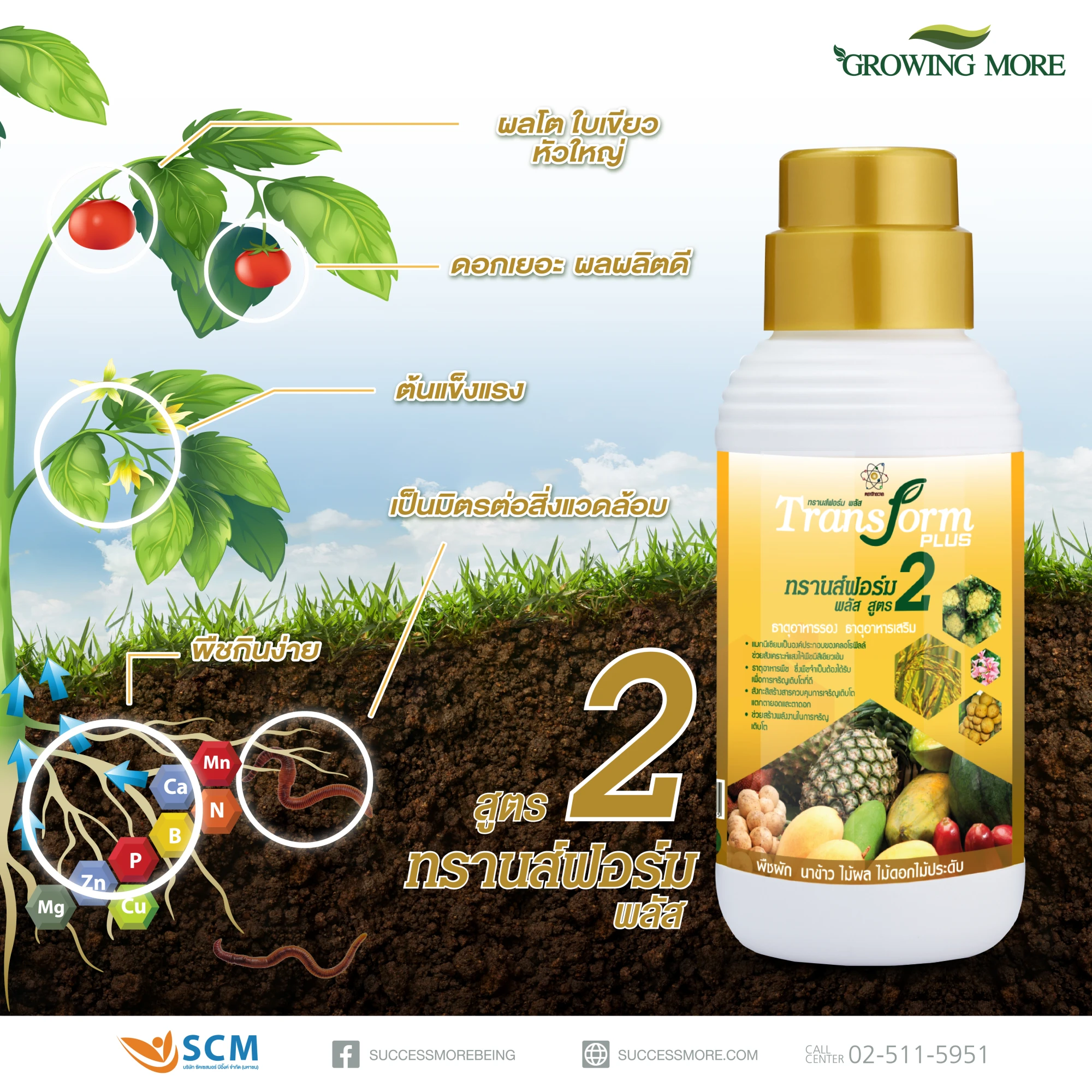 Transform Plus 2 - Image 3