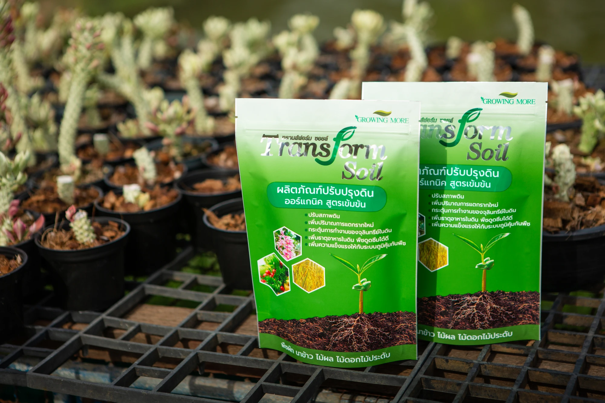 Transform Soil - Image 2