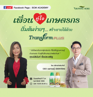 ช่องทางการหารายได้ 
